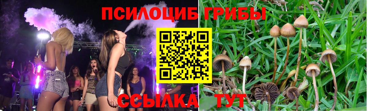 Псилоцибиновые грибы прущие грибы Астрахань